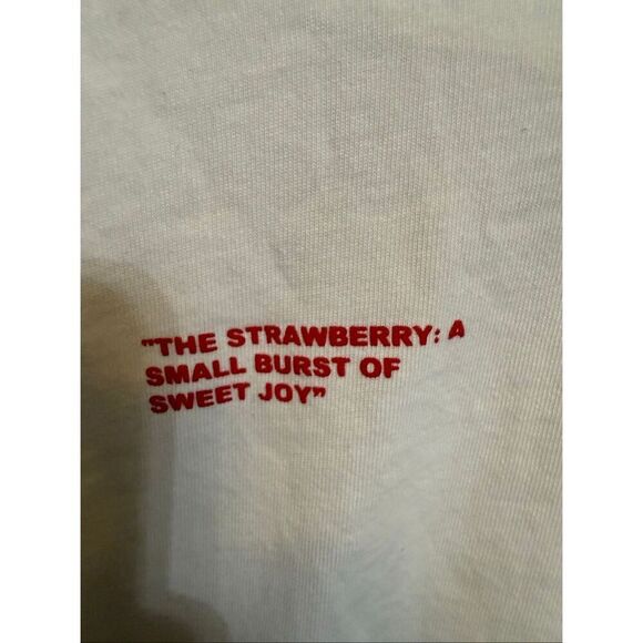 Zara Kids The Perfect Snack Strawberry Take A Bite Graphic Tee White Size 9-10 - Picture 5 of 7